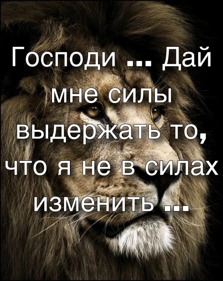 Дай бог последний. Боже дай мне сил и терпения. Господи дай сил. Дай мне сил. Цитаты дающие силу.