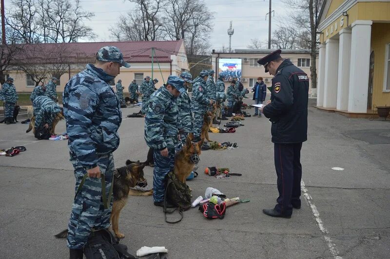 Приказы кинолога