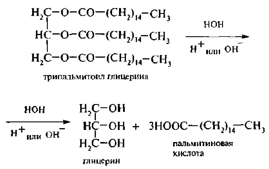 Глицерин пальмитиновая кислота стеариновая кислота. Трипальмитат глицерина. Формула трипальмитата глицерина. Трипальмитин глицерин формула. Пальмитиновая кислота и глицерин.