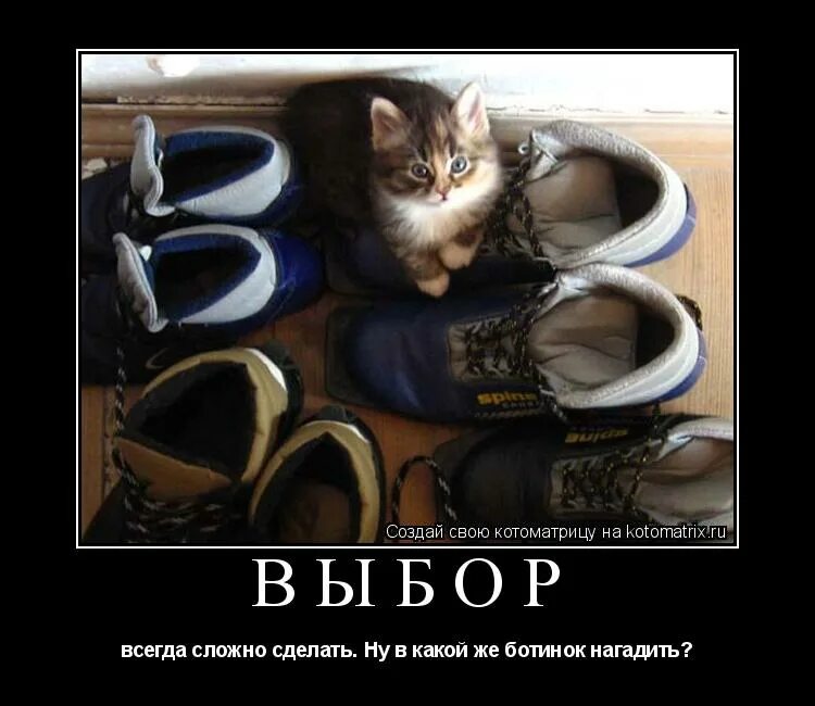 смешной выбор. сходить выбирать.