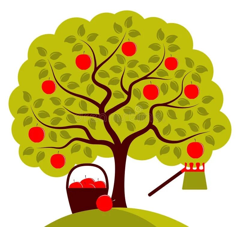Плодовые деревья вектор. Дерево яблоня вектор. Дерево яблоня рисунок. Стилизованная яблоня для детей. Яблоня дерево символ