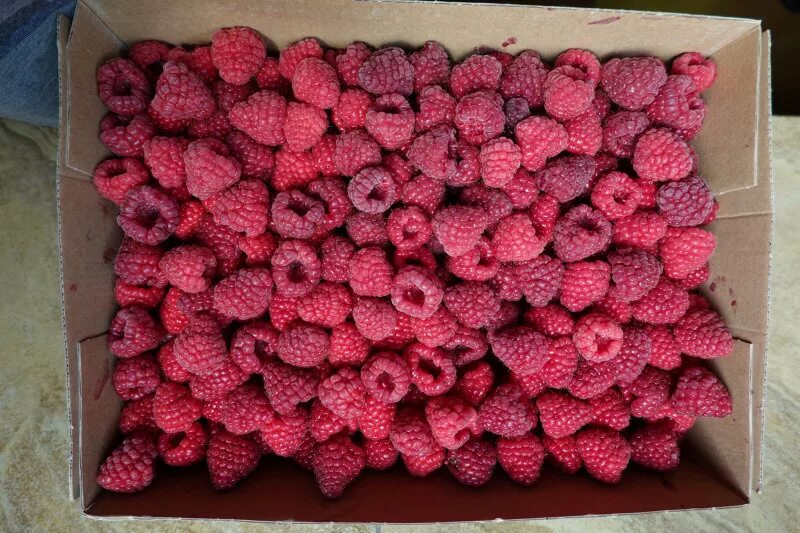 малина в упаковке. свежезамороженная малина. малина в коробочке. коробочка малины. малина, 125 гр.