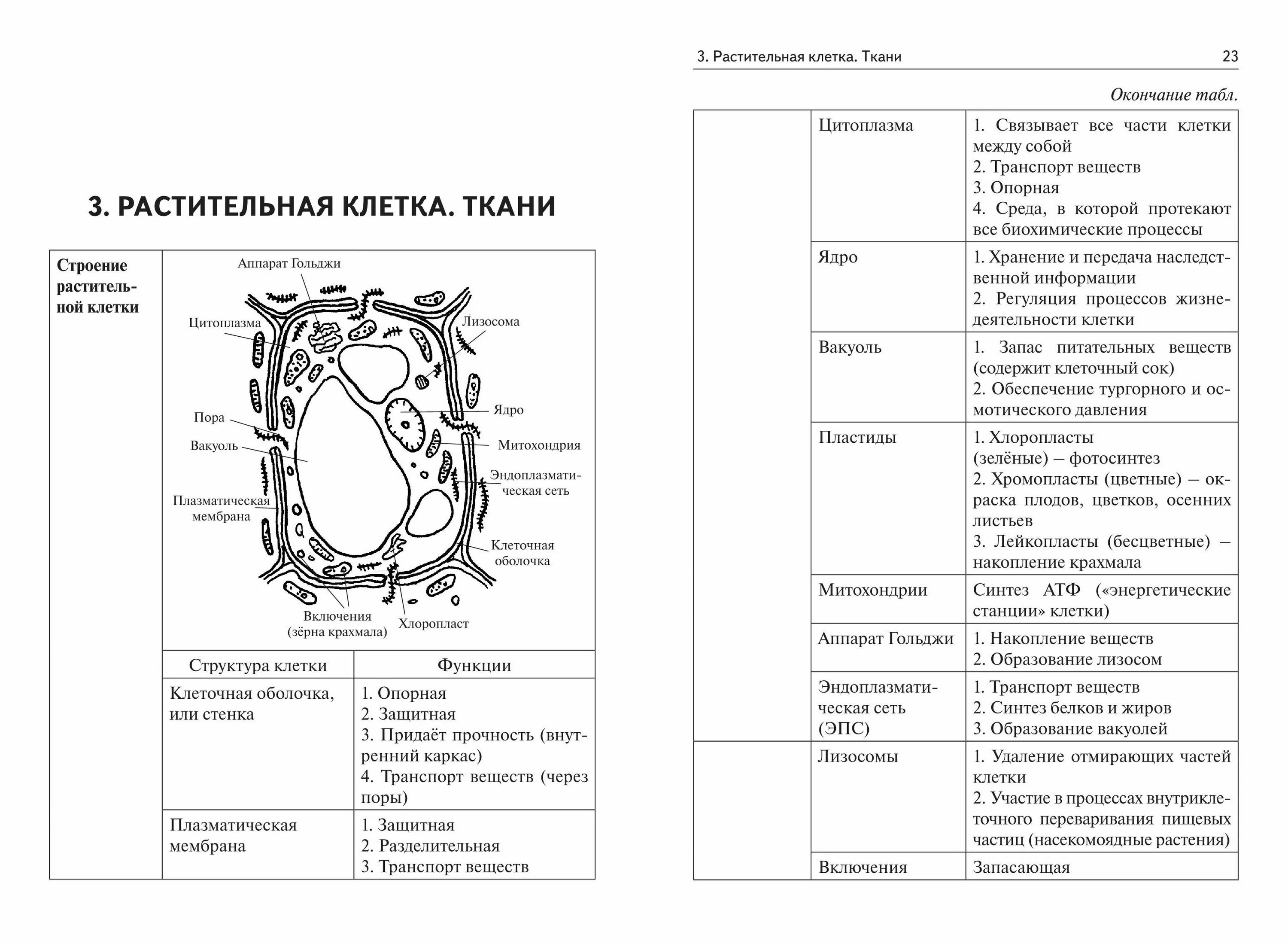 Егэ биология 8 задание. Справочник ЕГЭ по биологии в таблицах. ЕГЭ биология картинки. Вторая часть ЕГЭ биология справочник. Книги по биологии 1 лист.