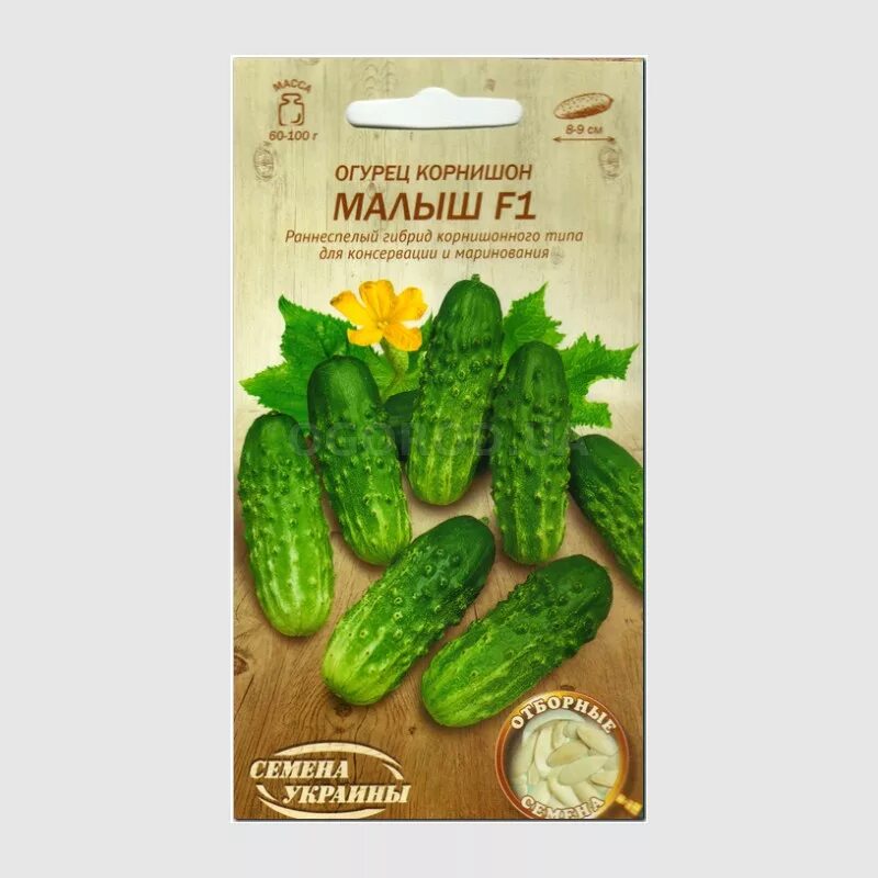 Сорт огурцов малыш. Семена огурец малыш седек. семена огурец малыш 10шт. семена огурец малыш, 2.5гр.. гавриш огурец малыш н13.