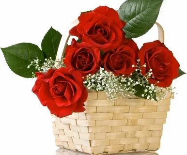 Цветочное одноклассники