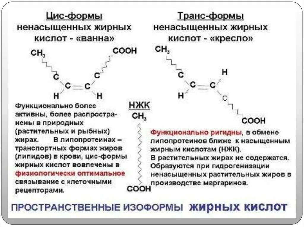 Цис молекула. Транс изомеры жирных кислот формула. Формулы высших жирных кислот биохимия. Трансизомеры жирных кислот что это такое. Ненасыщенные жирные кислоты строение.