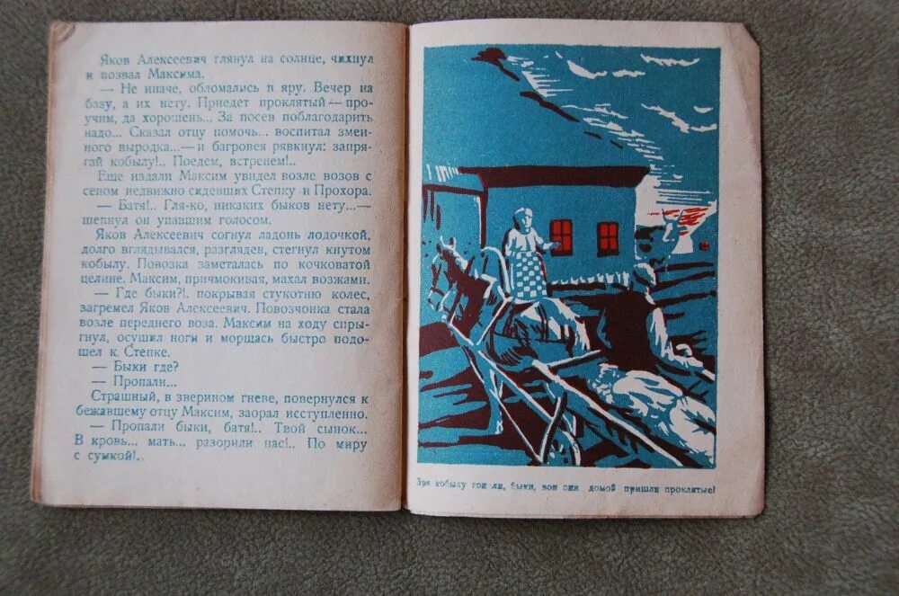 червоточина шолохов. бахчевник шолохов иллюстрации. донские рассказы шолохов анализ. бахчевник шолохов иллюстрации. шолохов продкомиссар иллюстрации.