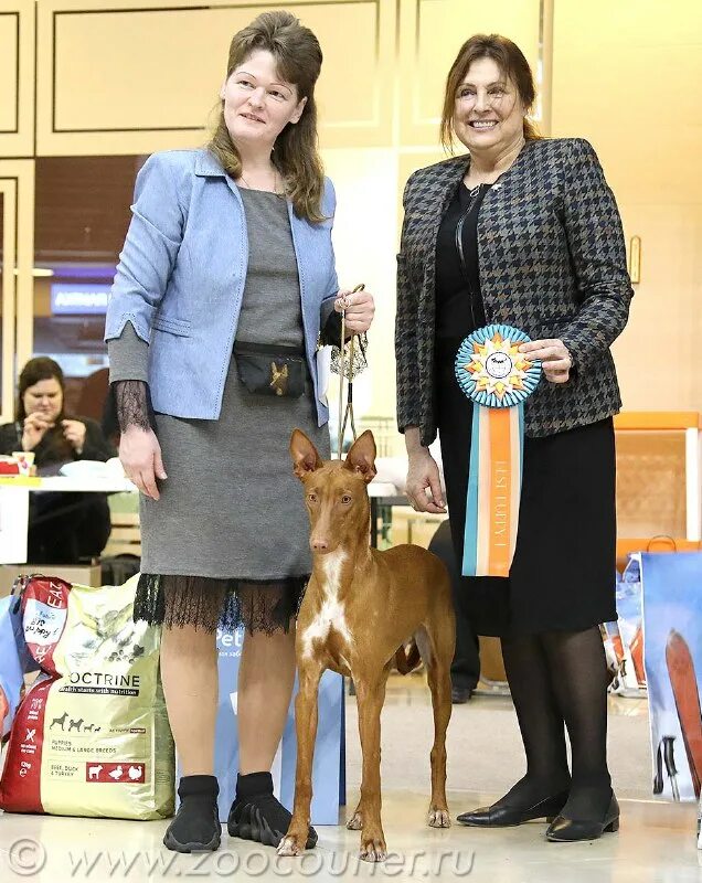 зоокурьер выставки собак в спб 2024
