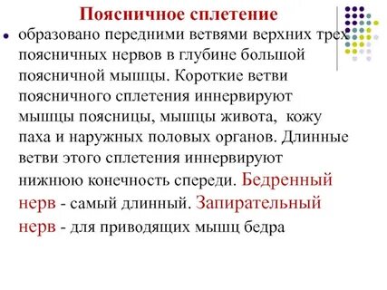 Кратчайшая ветвь