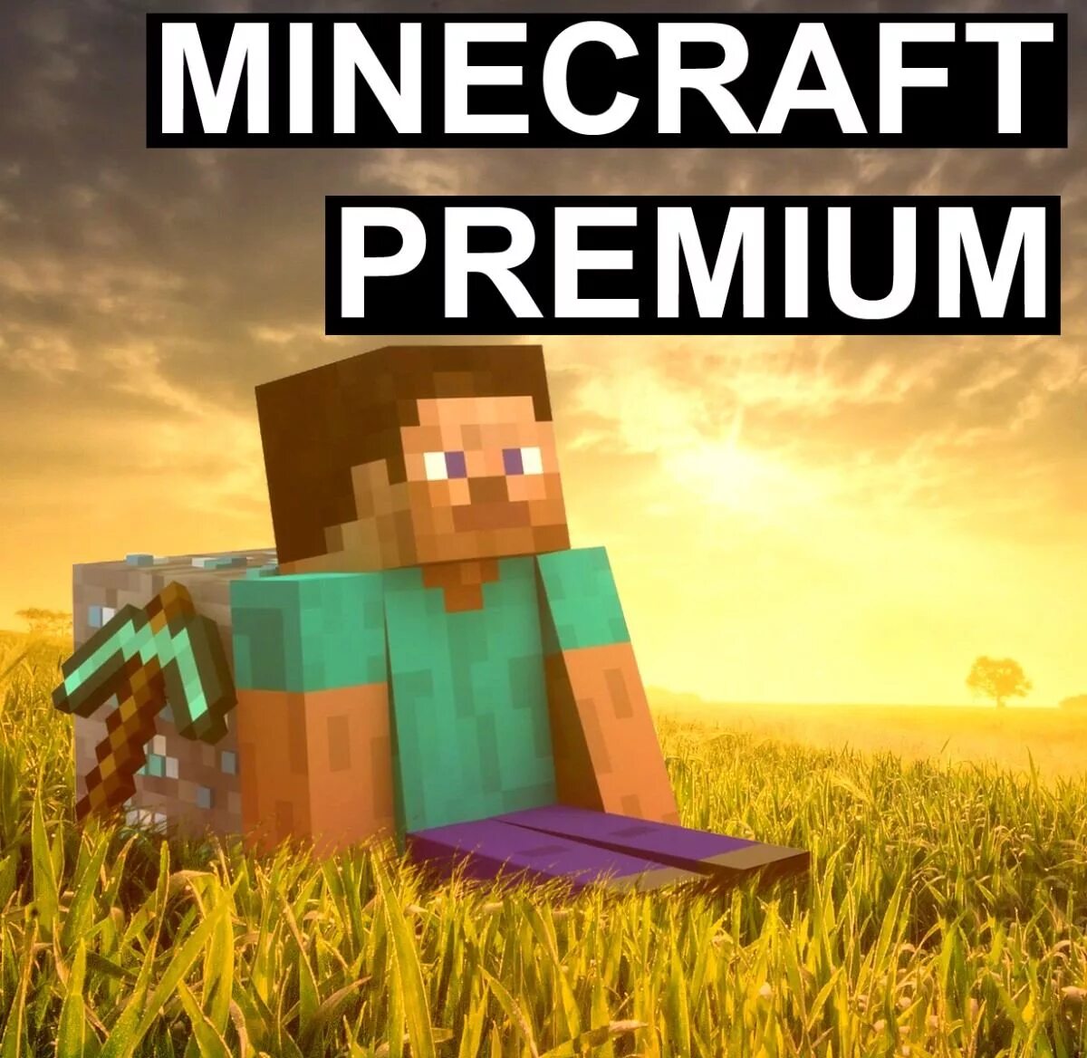 Аккаунты minecraft. Minecraft Premium. Премиум аккаунт майнкрафт. Minecraft Premium Gold. Фото премиум майнкрафт.