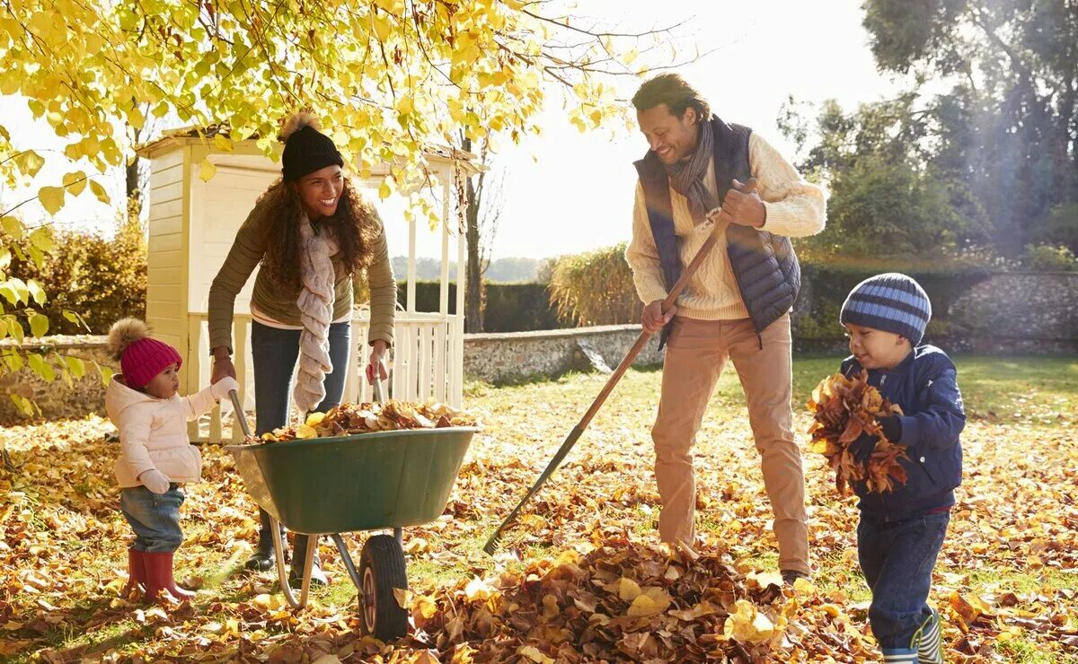 Мама папа на даче. Семья в саду. Осенний труд в семье. Дети помогают родителям. Семья на даче.