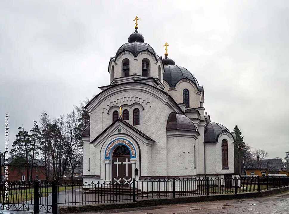 воскресенский собор луга ленинградская область. воскресенский собор луга. собор воскресения христова в луге. воскресенский собор в луге. храм г луга.