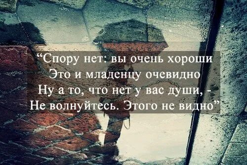 И ничто души не потревожит. Спору нет вы очень хороши. Спору нет вы очень хороши это и младенцу. Цитаты: так много в вас величия. Нет у вас души.