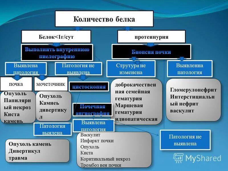 Протеинурия гематурия лейкоцитурия