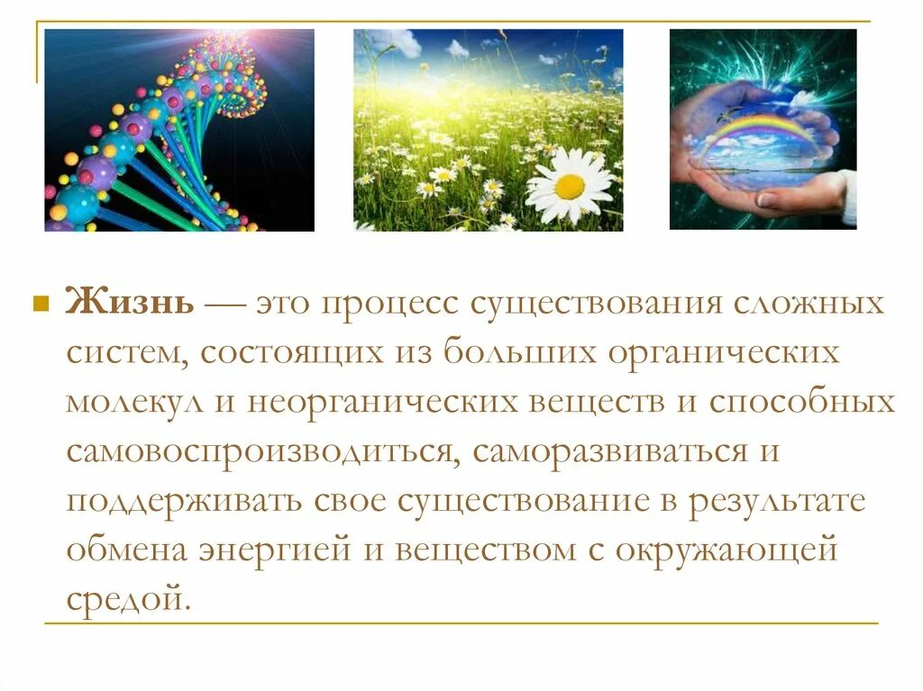 Жизнь это процесс существования. Жизнь это процесс существования сложных систем. Существование процесса. Развитие представлений жизни на земле. Условия жизни на земле 9 класс презентация