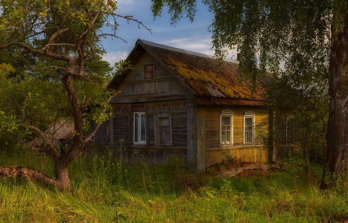 Изба густой. Дом изба в деревне старое Сихино. Заброшенная деревня Королевка. Деревенский домик. Деревянный домик в деревне.