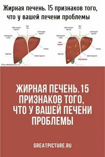 Печень печень печенюшка