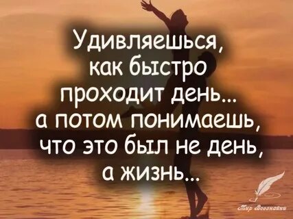 Жизни вы прошли через