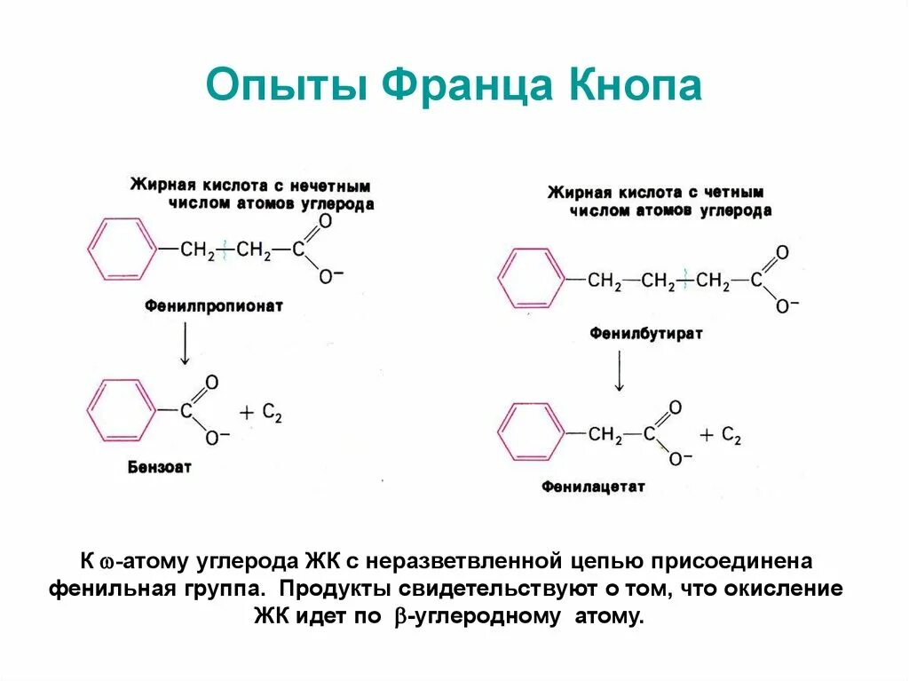 Фенильный радикал