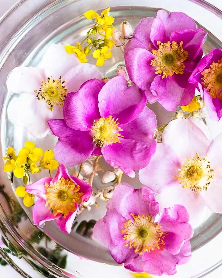 Цветочные эссенции. Милька цветок. Цветочная эссенция фото. Flower Essences Gurudass.