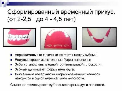 Прикус период