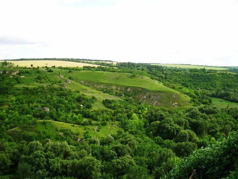 Церковь на байраке в горловке. Село байрак. Сумская область байрак. Село байрак. Село федоровка днепропетровская область.