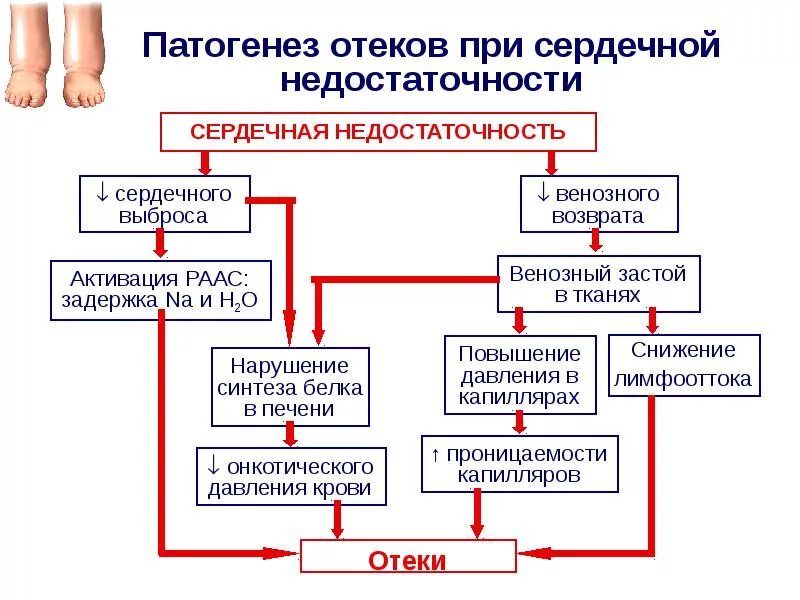 Уровни патогенеза