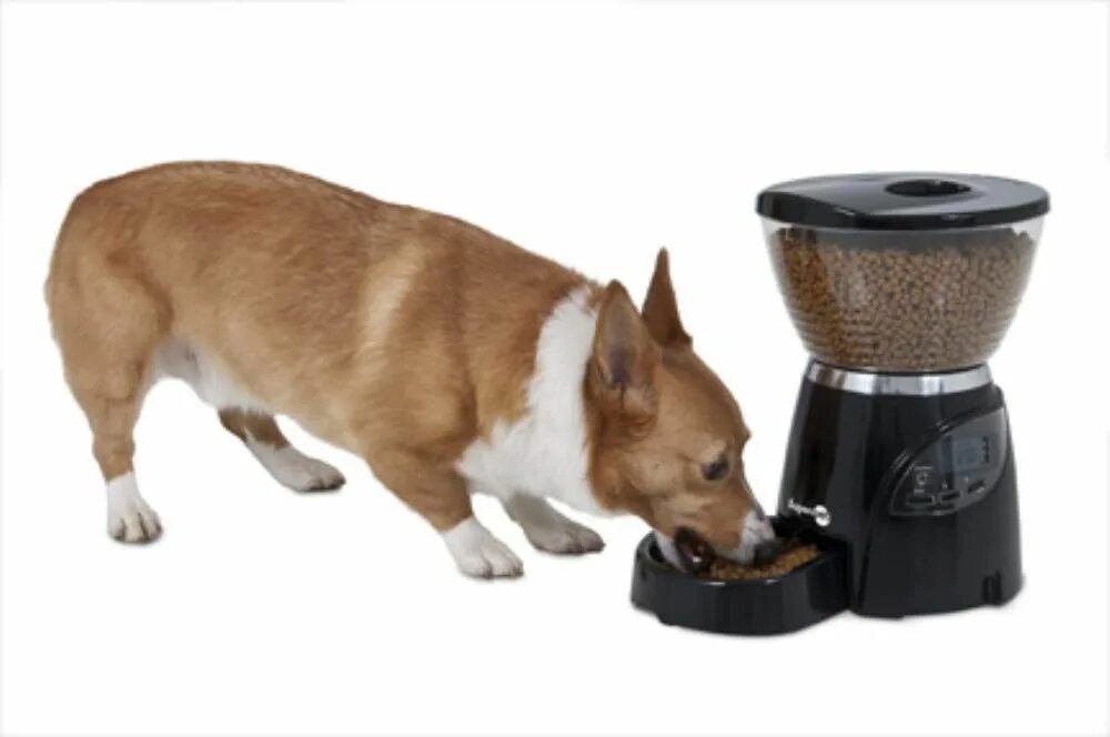 Автокормушка pet feeder. Кормушка automatic pet feeder. автокормушки для собак pet feeder. автокормушка для собак timed feeder. миски для собак средних пород.