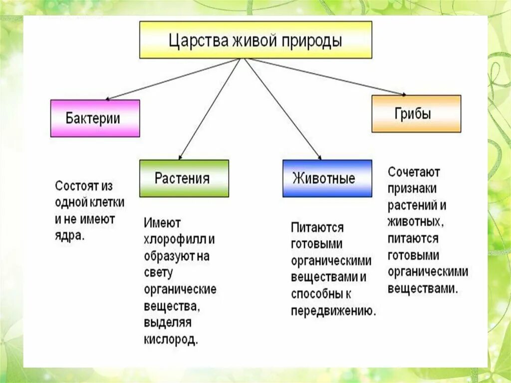 Какие классы есть в природе