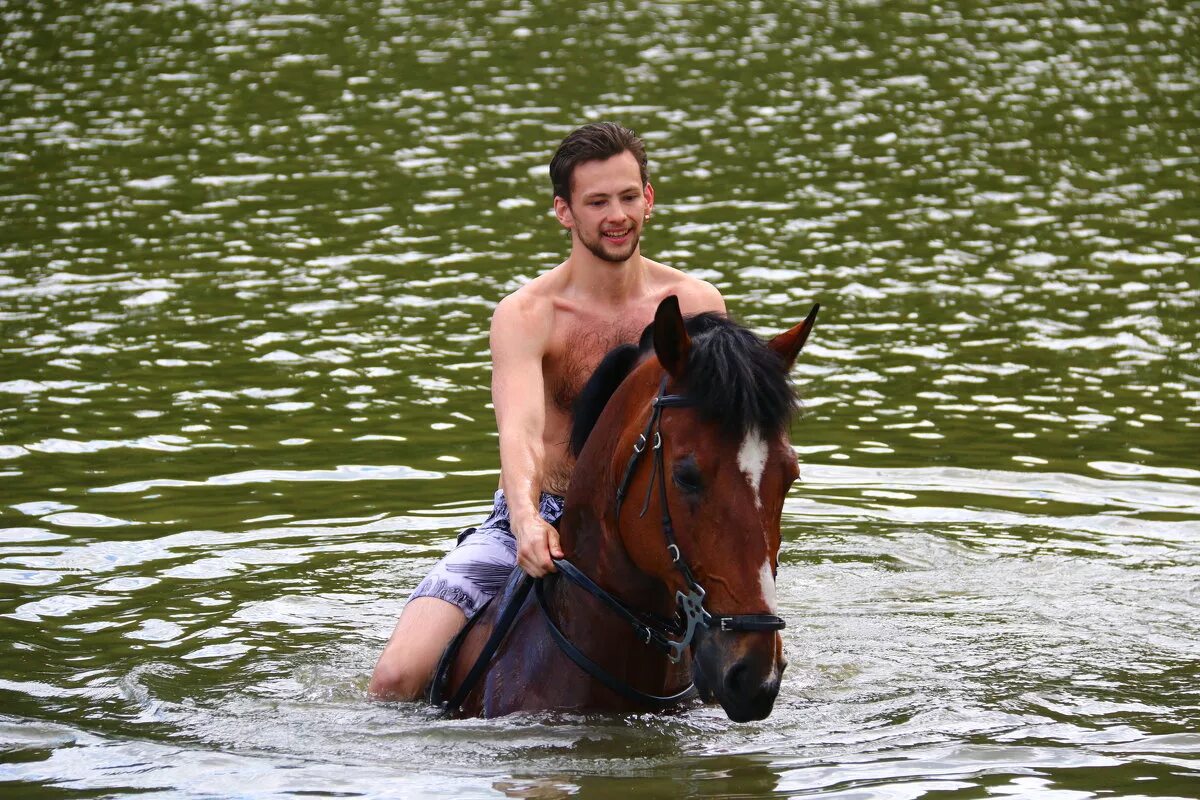Купание на лошадях. Купание лошадей в реке. Лошадь купается. Плавание на лошадях. Купание лошадей