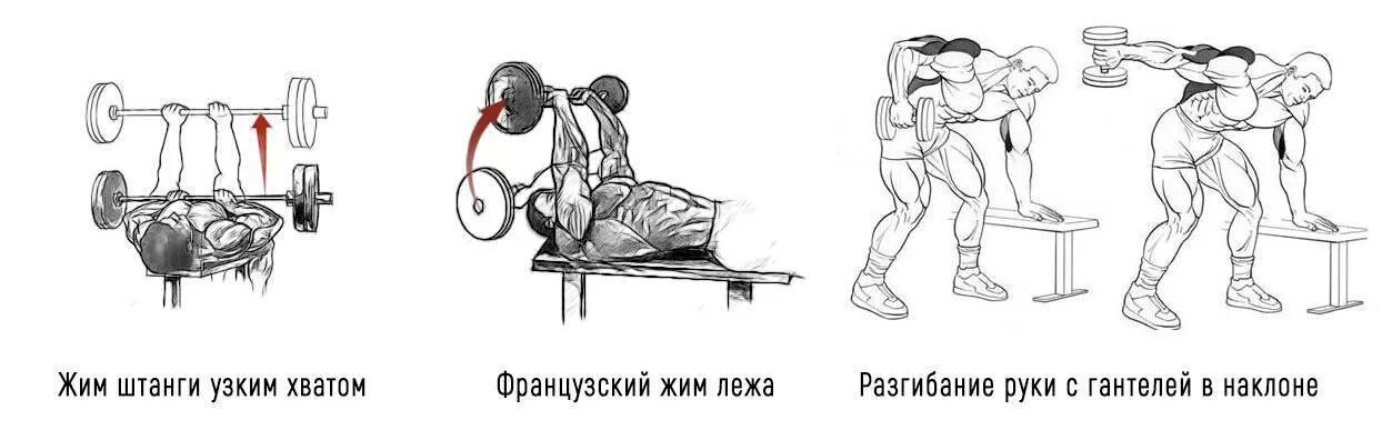 Разгибание рук с гантелями в наклоне на трицепс. Жим штанги лежа узким хватом. Французский жим стоя со штангой. Хват в жиме узкий жим лежа. Техника выполнения узкого жима. Разгибание рук с гантелями в наклоне на трицепс. Жим штанги лежа узким хватом. Французский жим стоя со штангой. Хват в жиме узкий жим лежа.