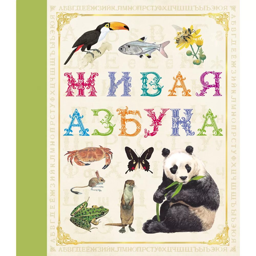 Сочини продолжение истории живая азбука. Живая Азбука. Живая Азбука книга. Живая Азбука обложка. Звериная Азбука для детей.