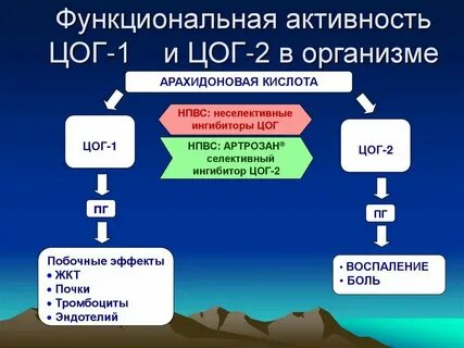 Гку цогу