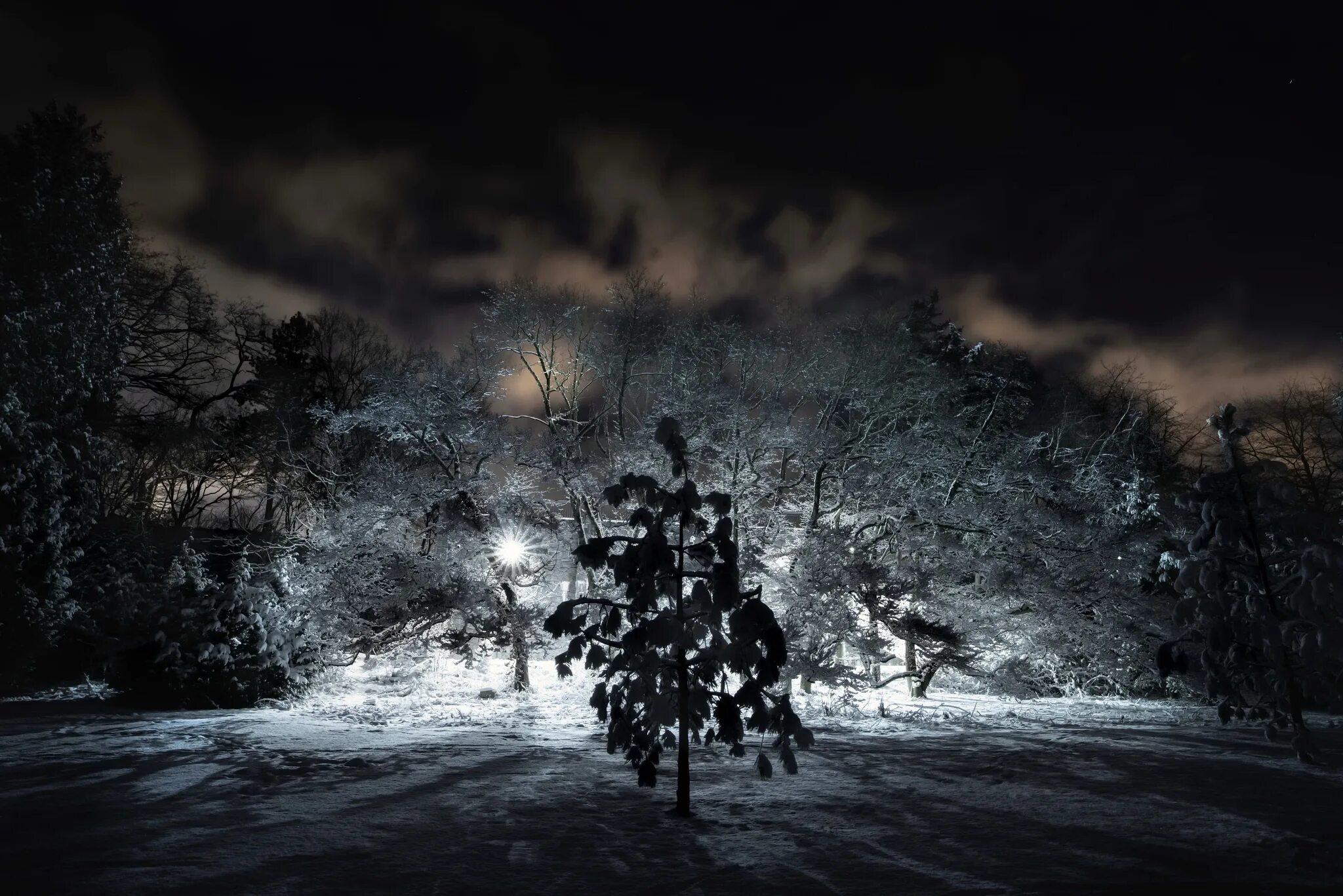 3 темных зимы