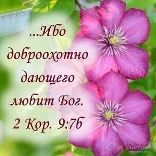Доброе утро стихи из библии