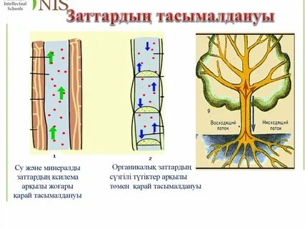 Секс-порно мультфильм
