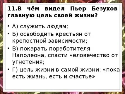 В какой главе описывается пьер