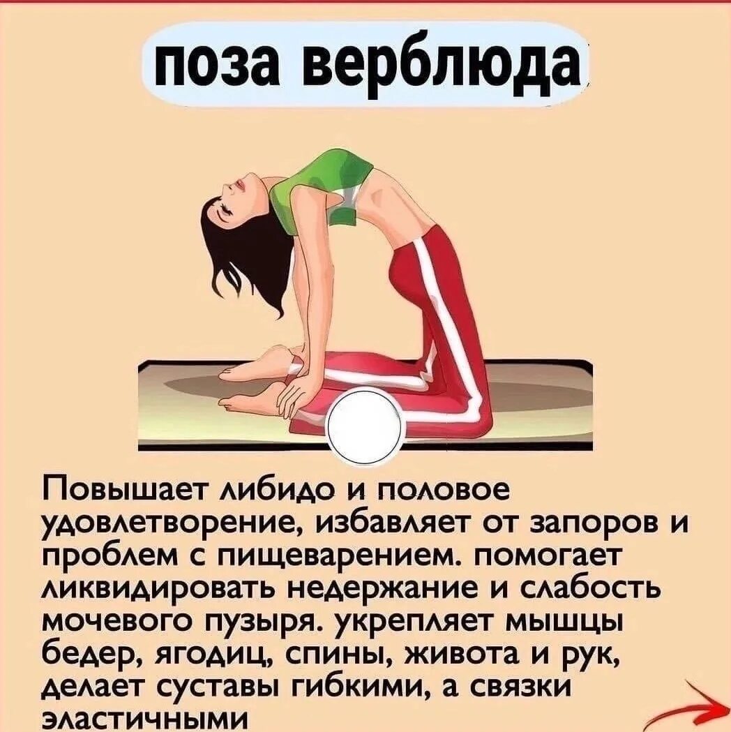 Позы для фотосессии для девушек. Йога для сна. Позы чтобы забеременеть. Парная йога. В каком позе хорошо женщине.