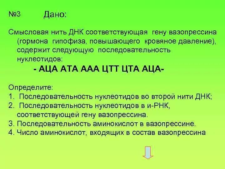 Смысловая и транскрибируемая цепь днк решение. Смысловая цепь ДНК. Смысловая и транскрибируемая цепь. ДНК смысловая и транскрибируемая. Смысловая цепь и транскрибируемая цепь ДНК.