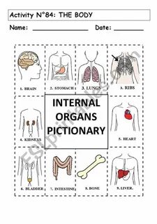 Organs parts of body