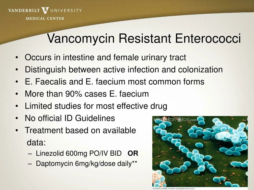Enterococcus l3. Enterococcus spp антибиотики. vancomycin resistant enterococcus. vre микробиология. энтерококк фэциум чувствительность к антибиотикам.
