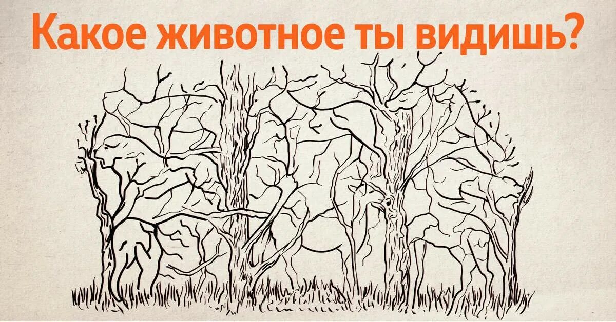 Животные спрятались. Психологические рисунки. Сколько живетный на картинке. Какие животные спрятались на картинке. На этом примере мы видим