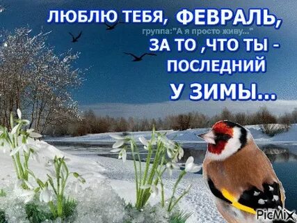 Потому что февраль