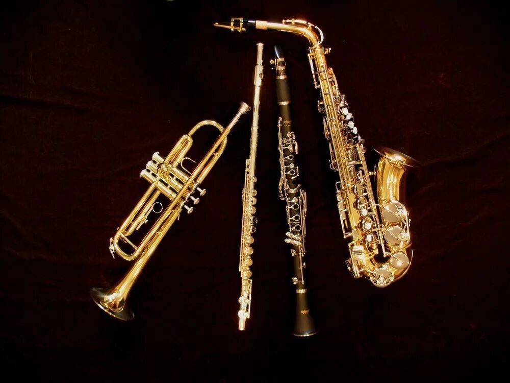 Кларнет тромбон. Саксофон флейта кларнет. Труба саксофон флейта. Саксофон труба тромбон отличия. Труба флейта кларнет саксофон.