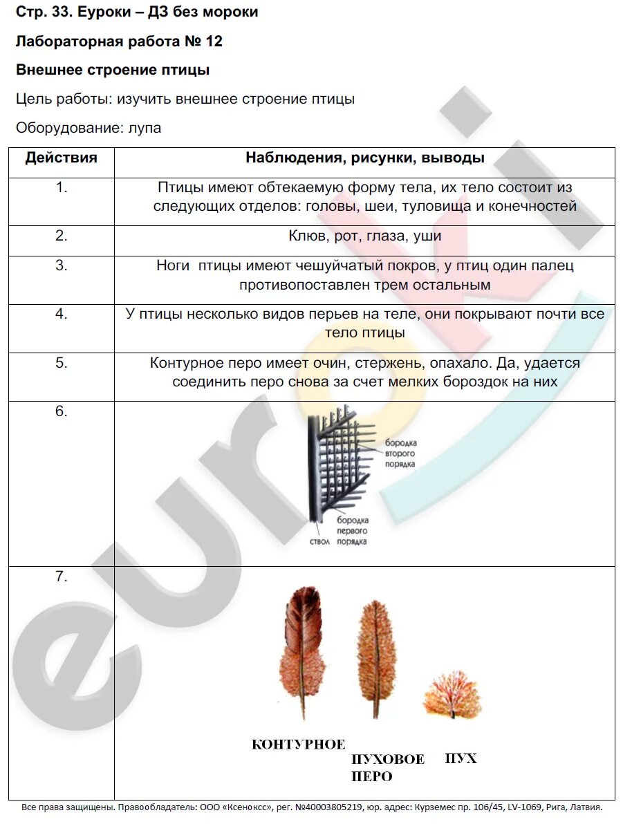 Лабораторная работа номер 10 7 класс биология