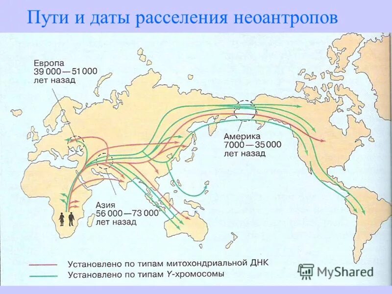 Дата расселения. Расселение древних людей. Карта расселения неоантропов. Расселение древних людей по земле. Расселение человека по земле.