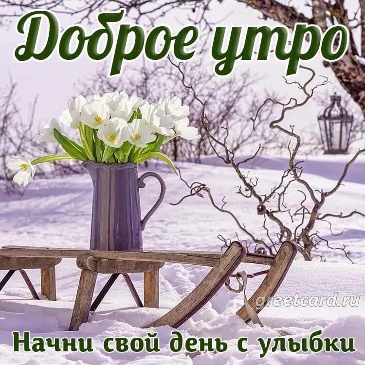 29 ноября 2023 года доброе утро. 29 ноября 2023 года доброе утро
