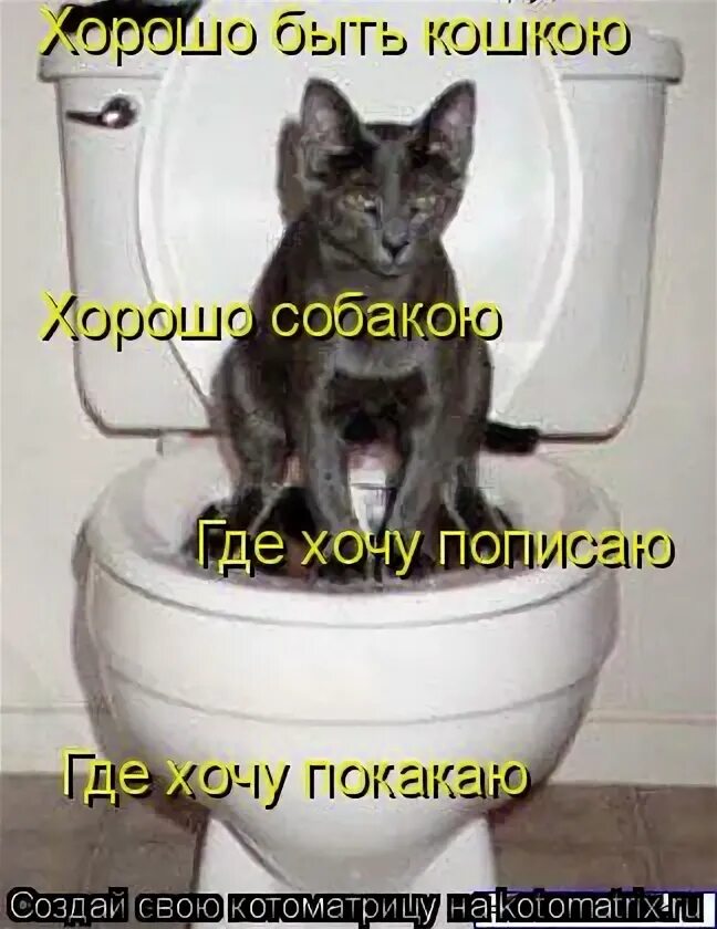 Хочу пописаю