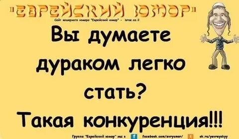 Приколы про дураков