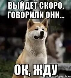 Скорее 7